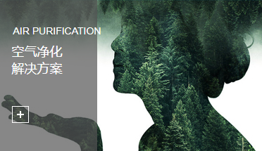 这是描述信息
